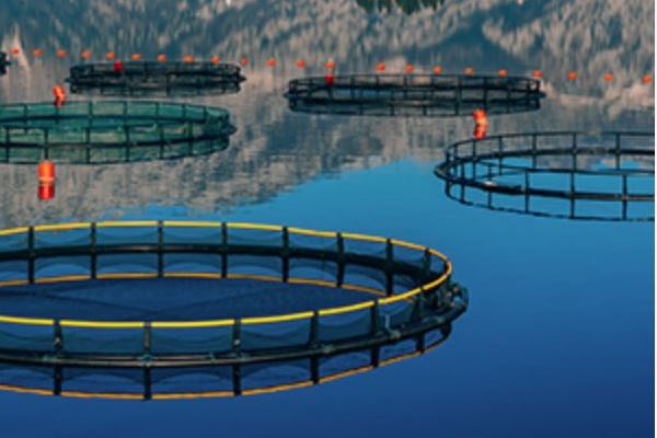 ПВХ ткани Sauleda рыболовецкий сектор 15х10