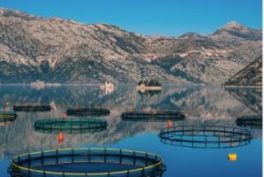 ПВХ ткани для питьевой воды