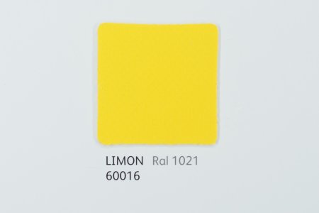 60016
