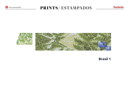 Brazil-1-b