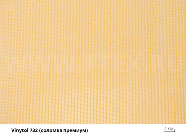 2_v_732