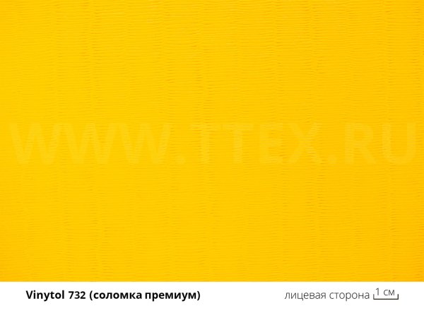 1_v_732
