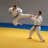 Материалы для татами материалы для татами