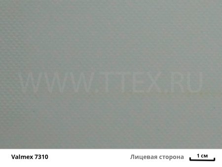 Valmex 7310 лиц с вз
