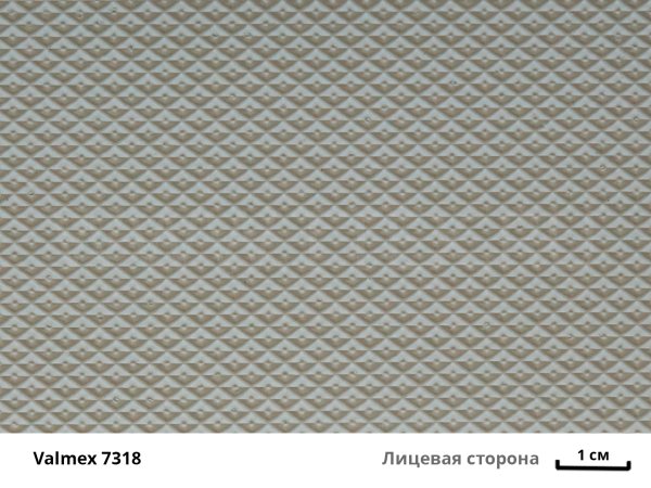 Valmex 7318 лиц с вз
