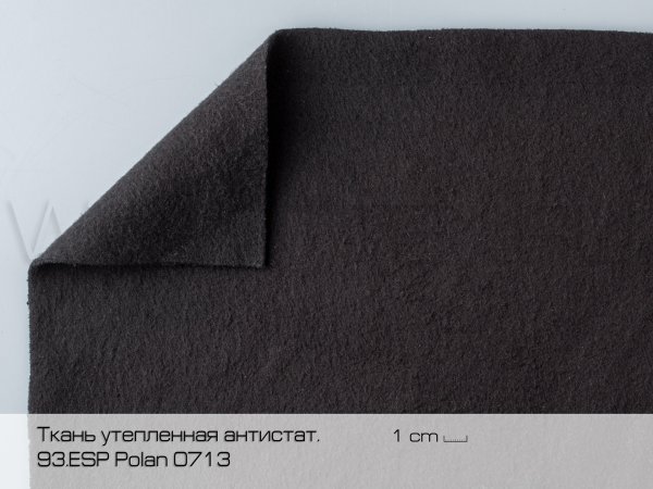 ESP-Polan-0713-sigon-мин