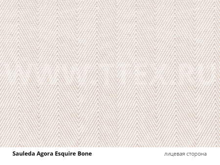 bone