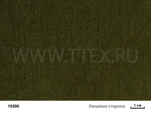 10300  лиц с вз