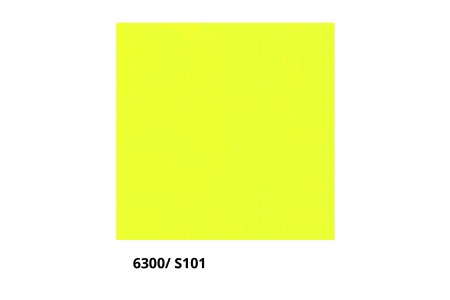 6300