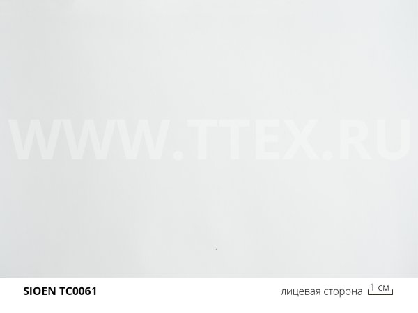 1 0061