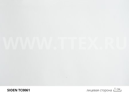 1 0061