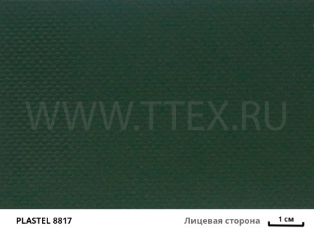 PLASTEL 8817 лиц с вз