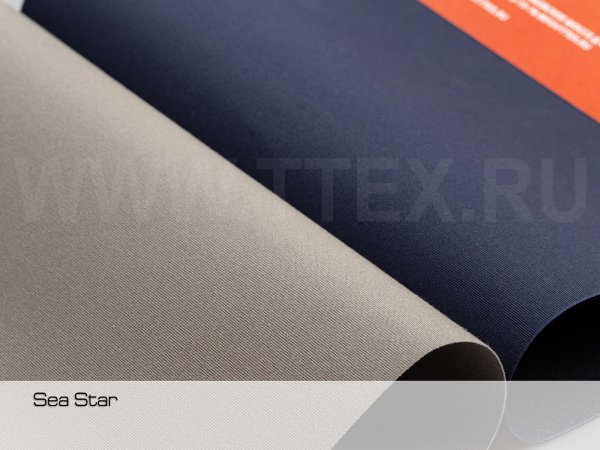 SEA-STAR-5D3L0567-2