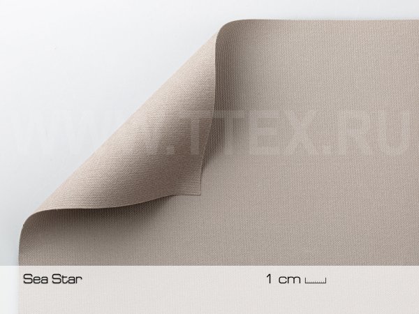 SEA-STAR-5D3L0554-сер-сг