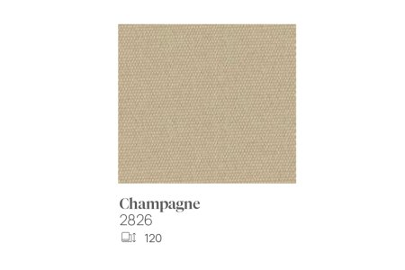 champagne