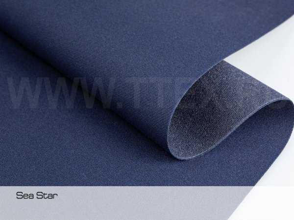 SEA-STAR-5D3L2607-син