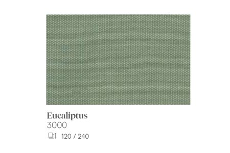 eucaliptus