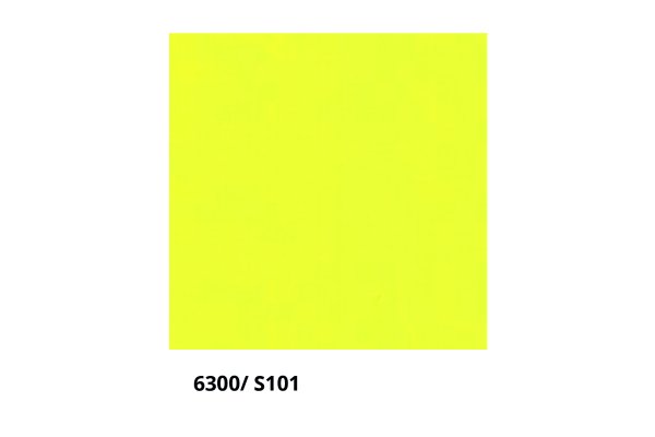 6300