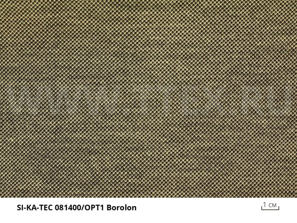 2-borolon