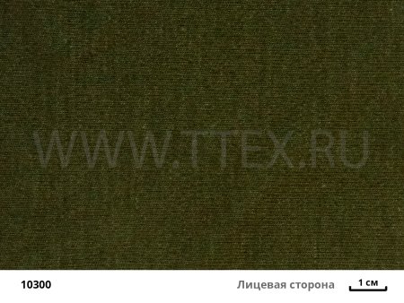 10300  лиц с вз