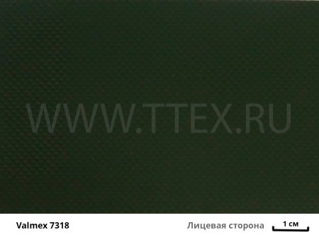 Valmex 7318 Mainstream лиц с вз