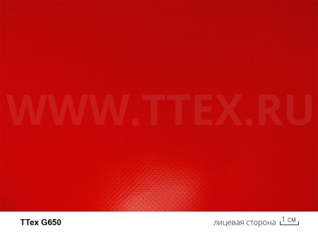 ТТех G650 лицо