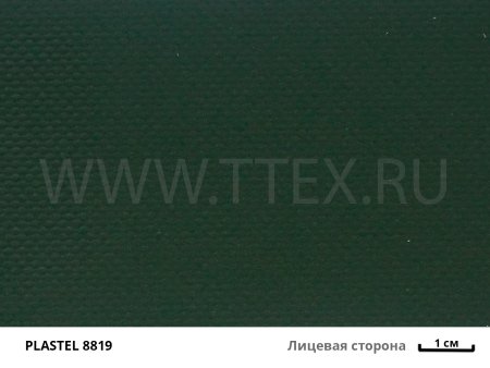 PLASTEL 8819 лиц с вз