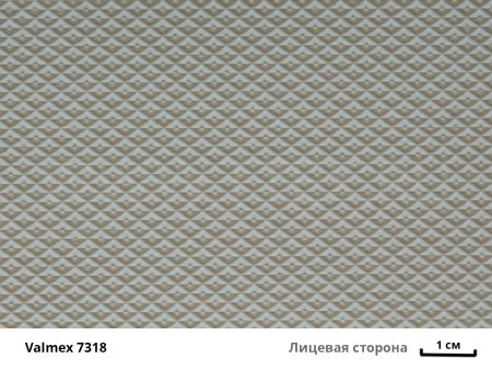 Valmex 7318 лиц с вз